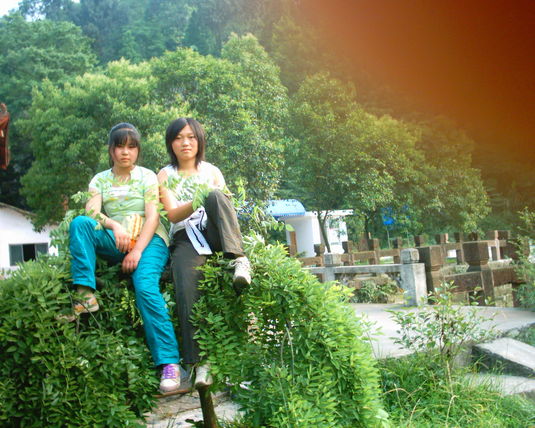 2006  (27)